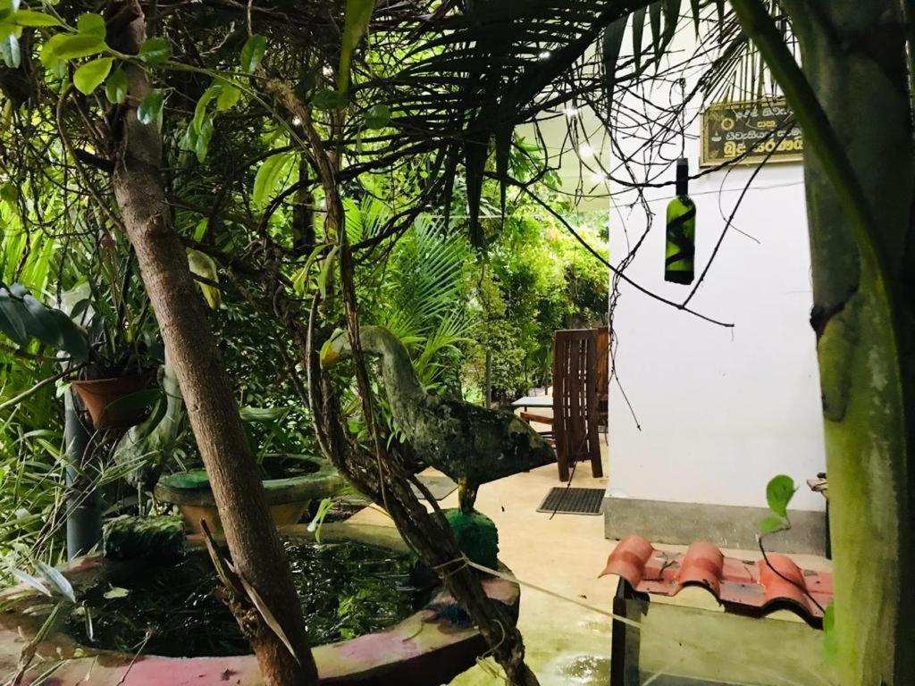 Green Jade Inn Mirissa Ngoại thất bức ảnh