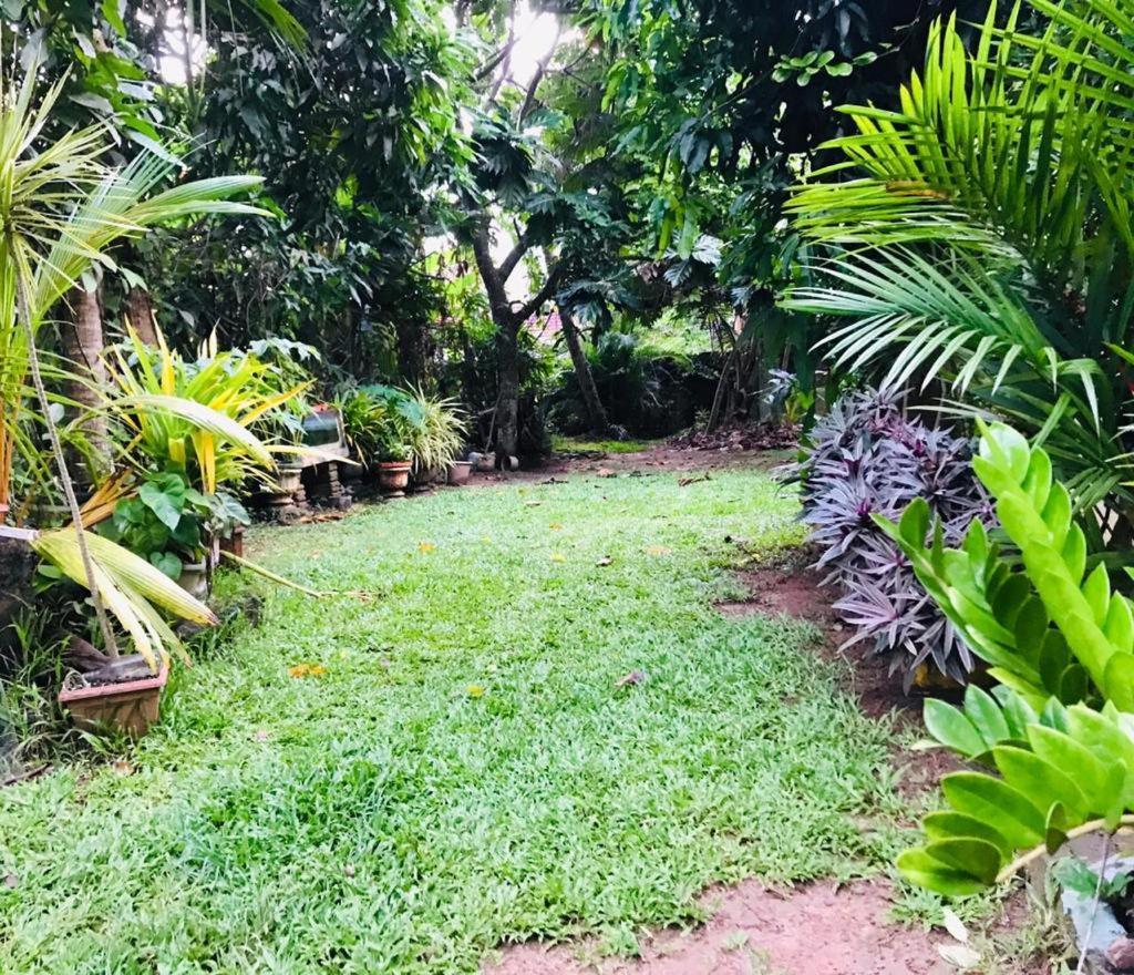 Green Jade Inn Mirissa Ngoại thất bức ảnh